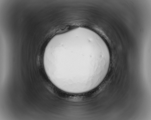 X0000083530161200703091519