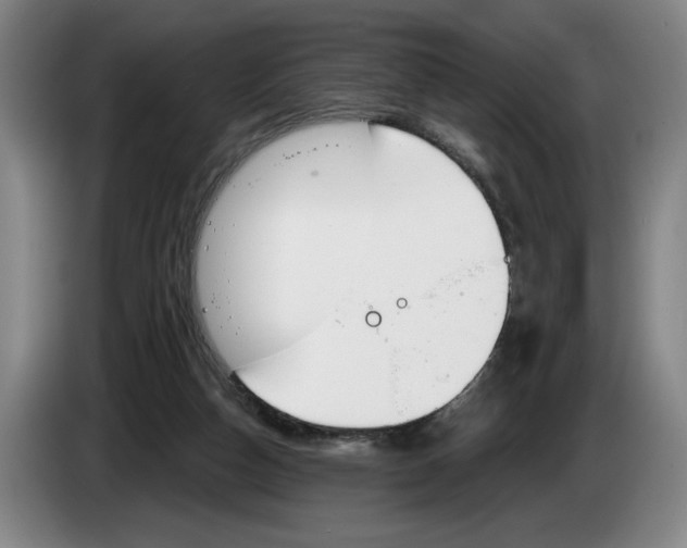 X0000083530162200703091519