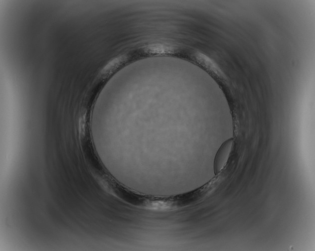 X0000083530163200703091519