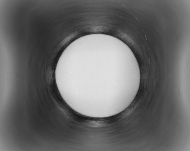 X0000083530164200703091519