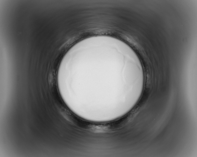 X0000083530165200703091519