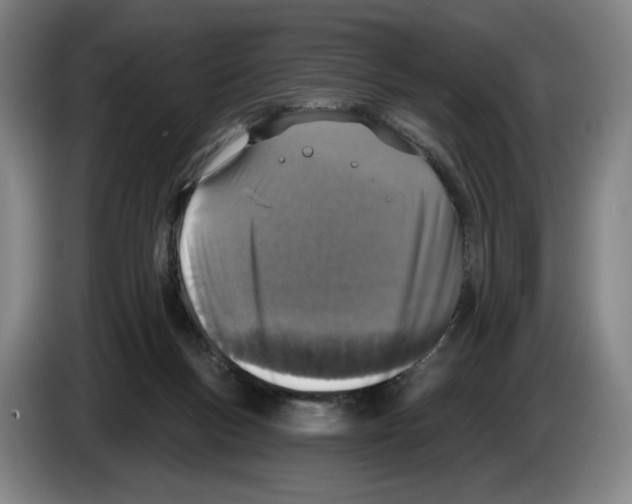 X0000083530167200703091519