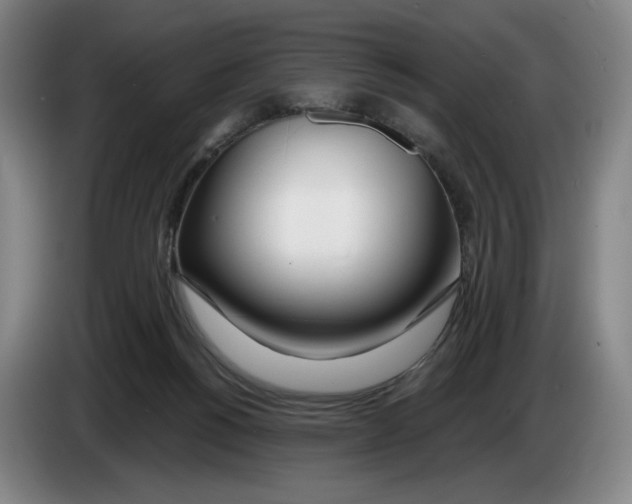 X0000083530168200703091519