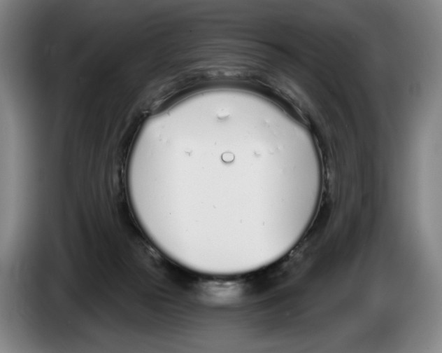 X0000083530169200703091519