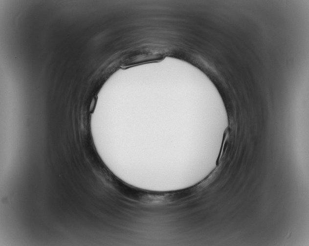 X0000083530170200703091519