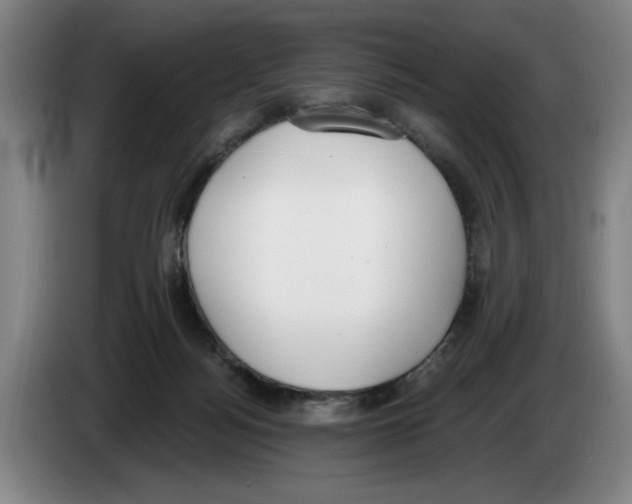 X0000083530172200703091519