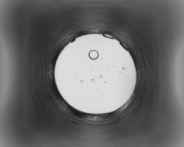 X0000083530174200703091519