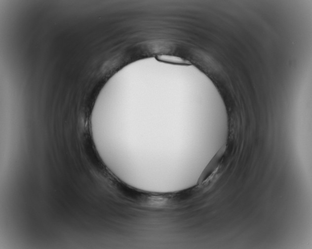 X0000083530176200703091519