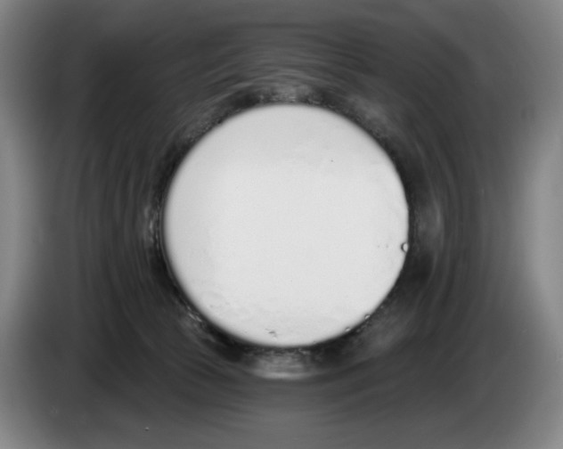 X0000083530177200703091519