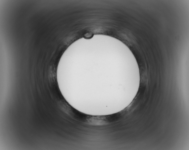 X0000083530179200703091519