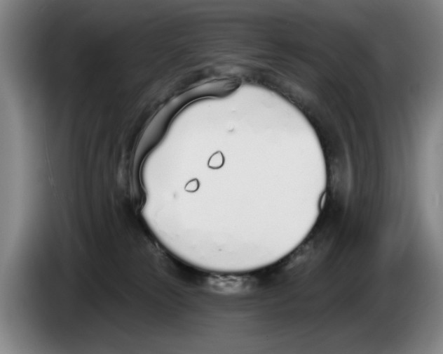 X0000083530181200703091520