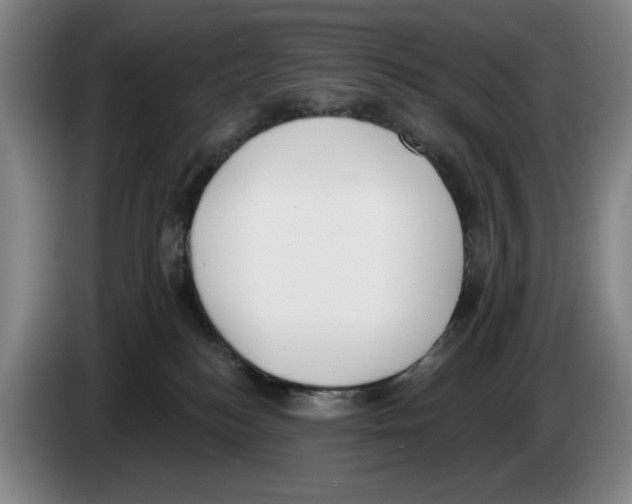 X0000083530184200703091520