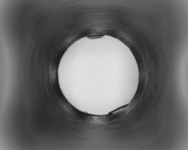 X0000083530188200703091520