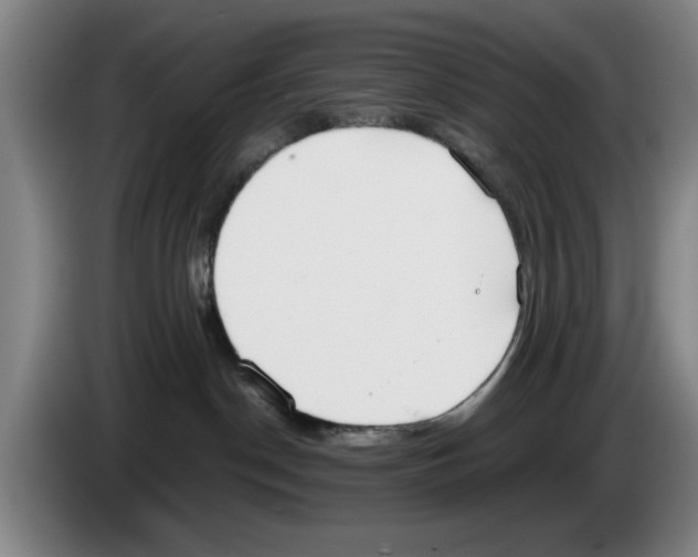 X0000083530190200703091520