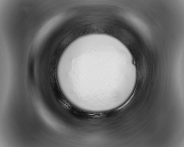 X0000083530191200703091520