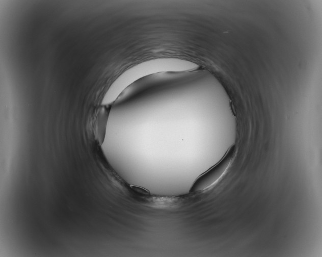 X0000083530192200703091520