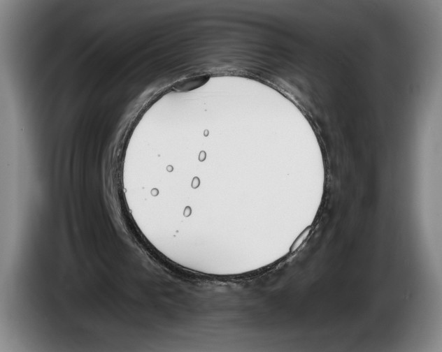 X0000083530193200703091519