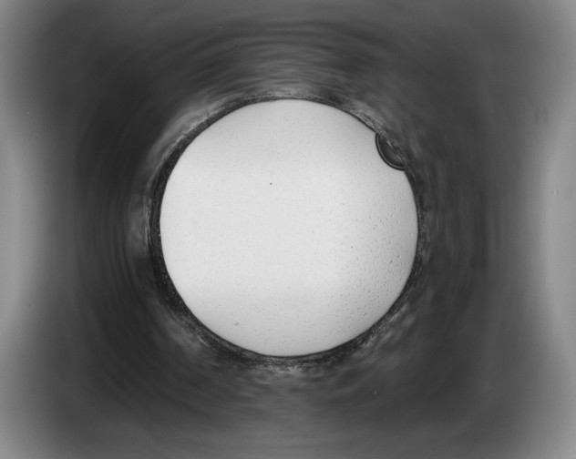 X0000083530194200703091519