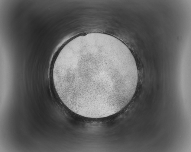 X0000083530196200703091519