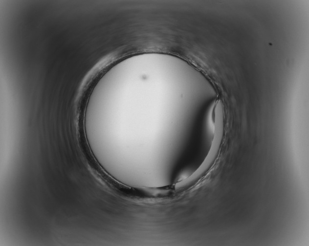 X0000083530197200703091519