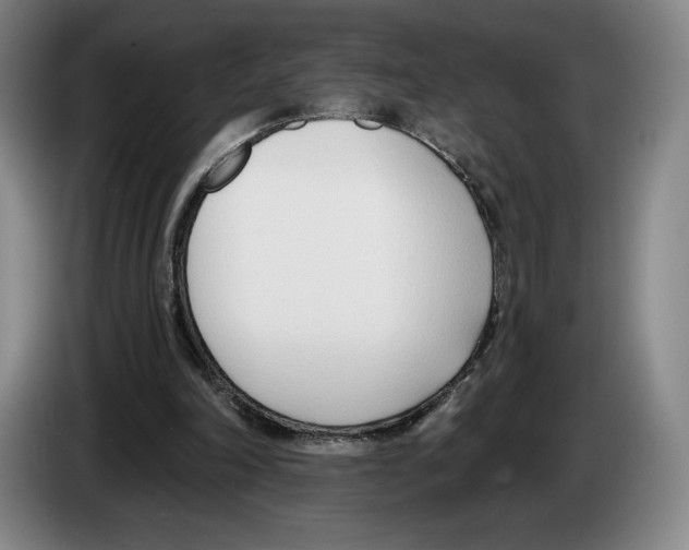 X0000083530198200703091519