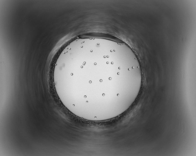 X0000083530199200703091519