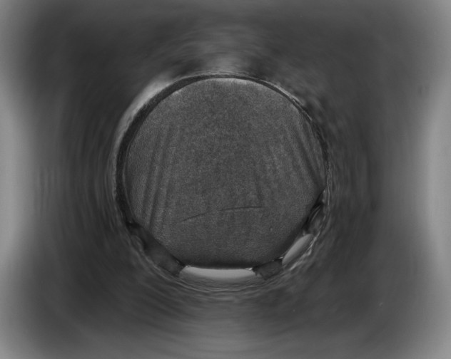 X0000083530200200703091519