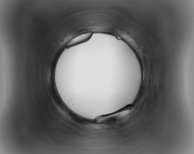 X0000083530201200703091519