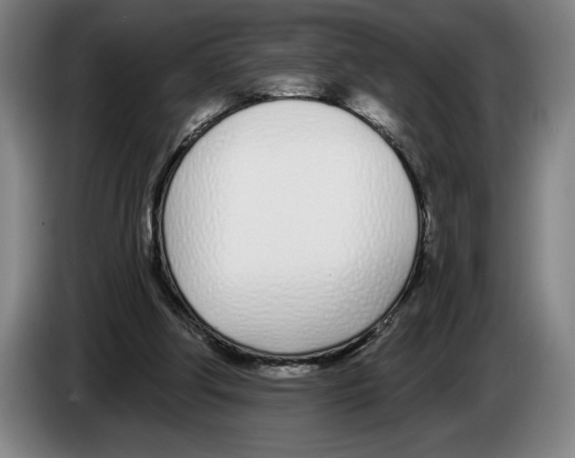 X0000083530202200703091519