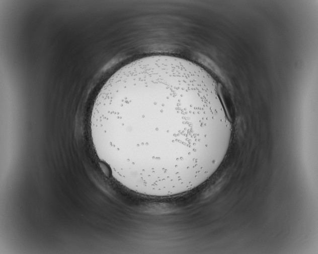 X0000083530203200703091519