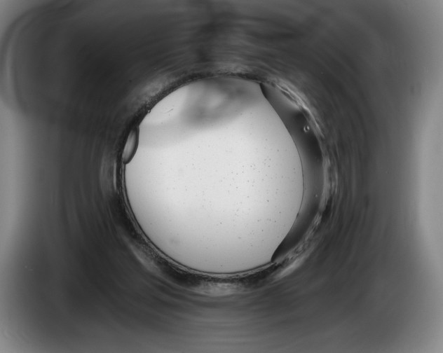 X0000083530205200703091519