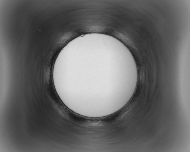 X0000083530206200703091519