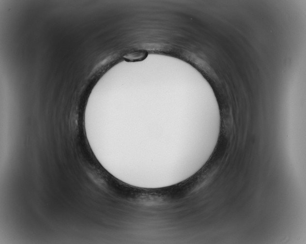 X0000083530207200703091519