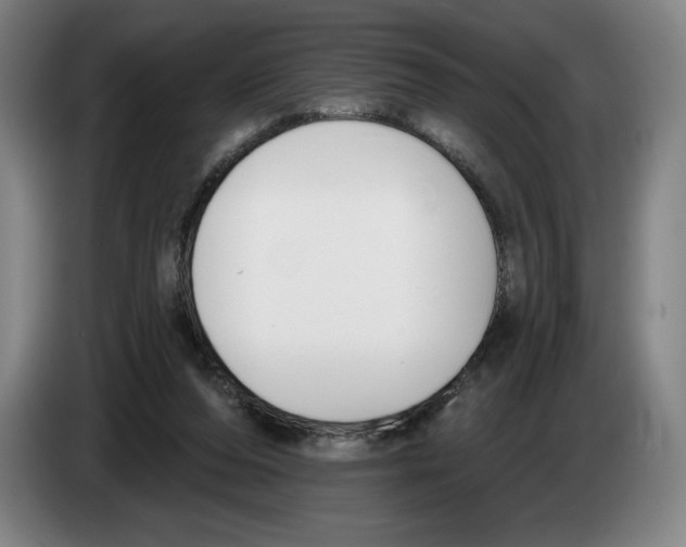 X0000083530208200703091519