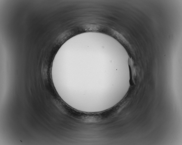 X0000083530209200703091519