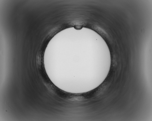 X0000083530210200703091519