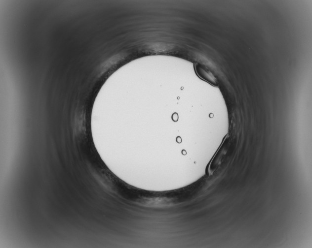 X0000083530212200703091519