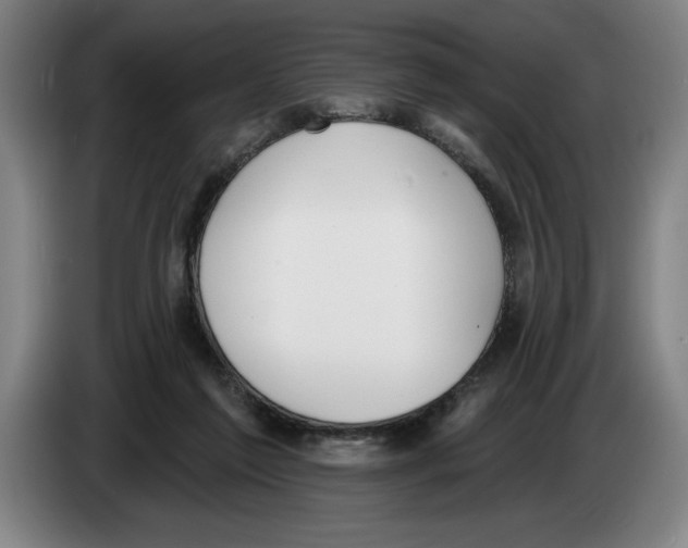 X0000083530213200703091519