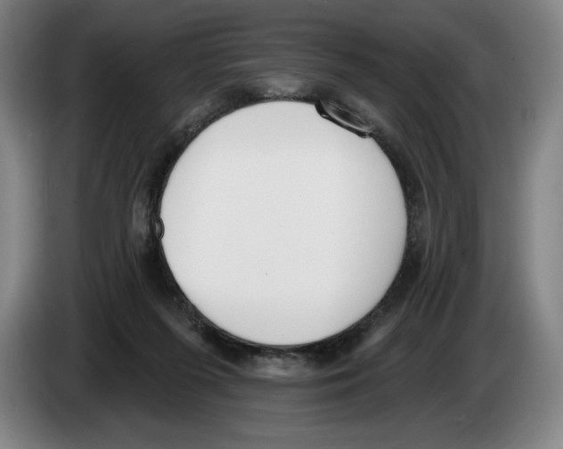 X0000083530215200703091519