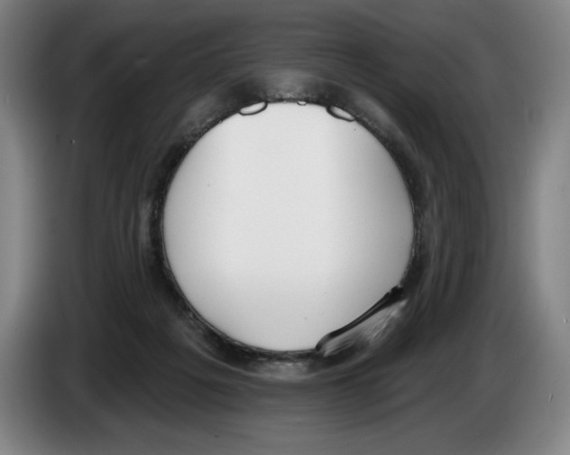 X0000083530217200703091519