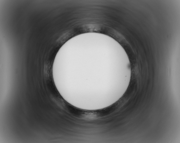 X0000083530218200703091519