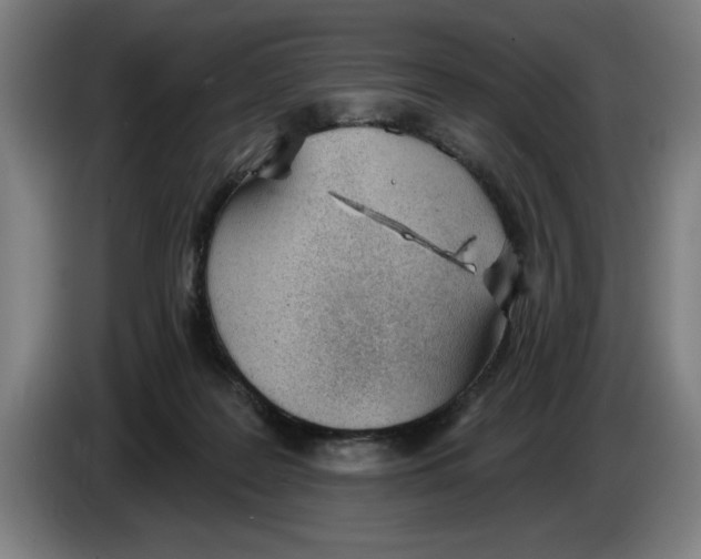 X0000083530219200703091519