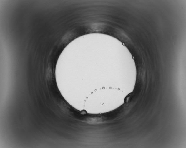 X0000083530220200703091519