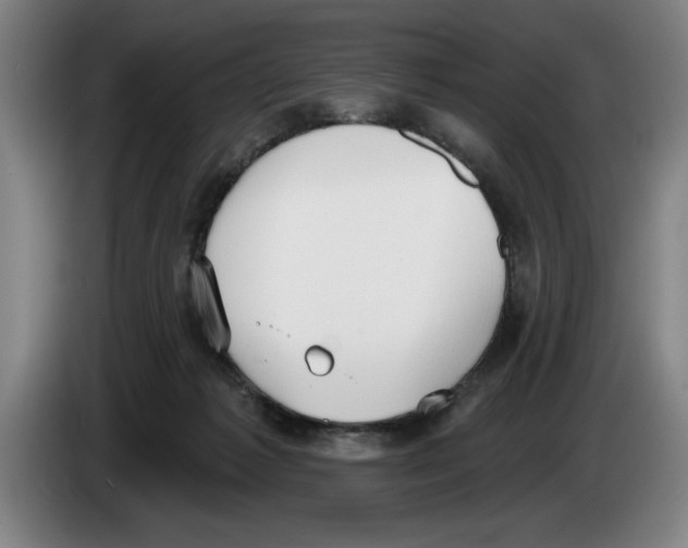 X0000083530221200703091519