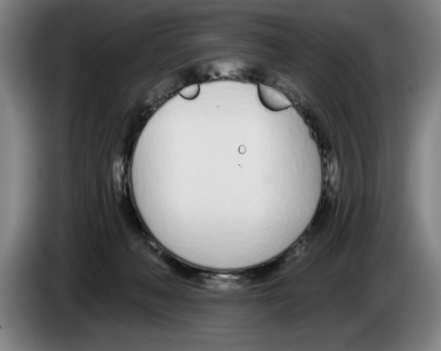 X0000083530222200703091519