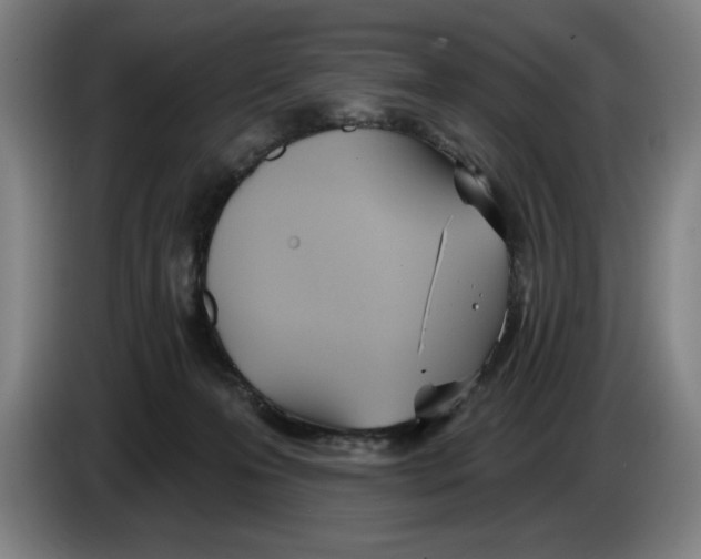 X0000083530223200703091519