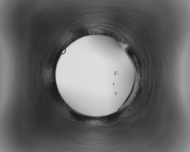 X0000083530224200703091519