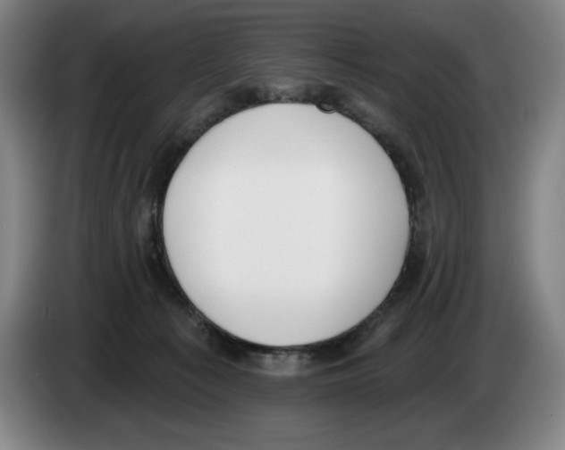 X0000083530225200703091519