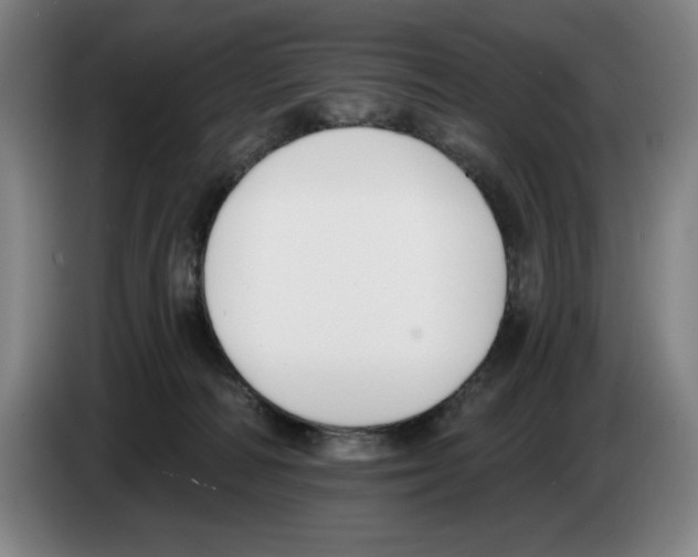 X0000083530226200703091519