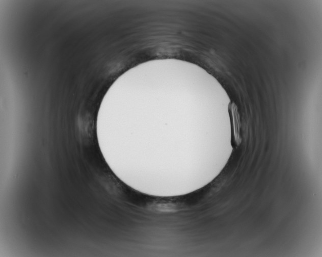 X0000083530228200703091519